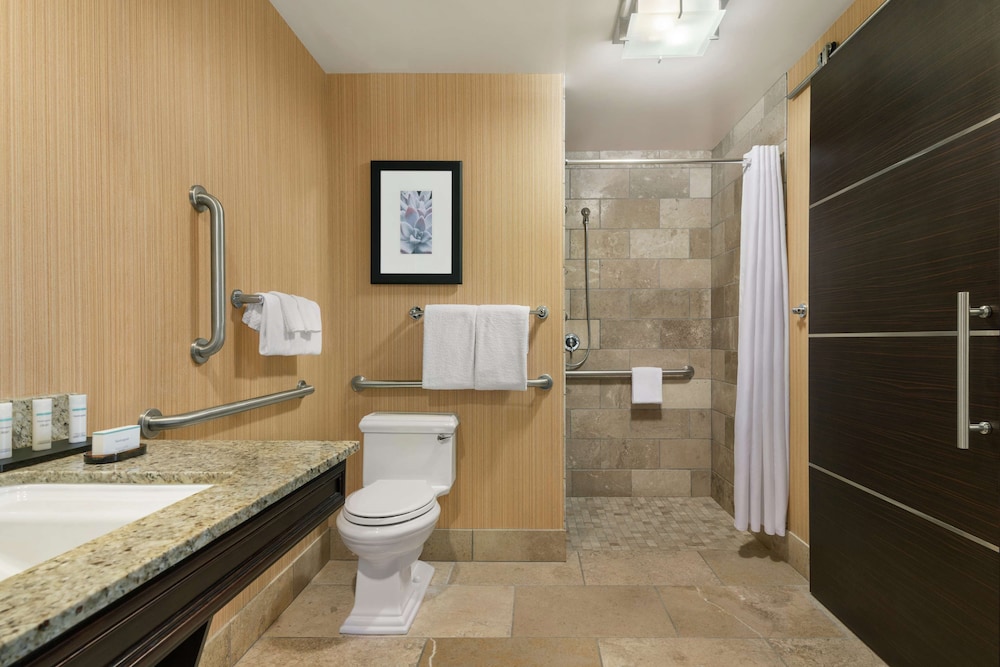 Embassy Suites by Hilton Salt Lake West Valley City - photo 48