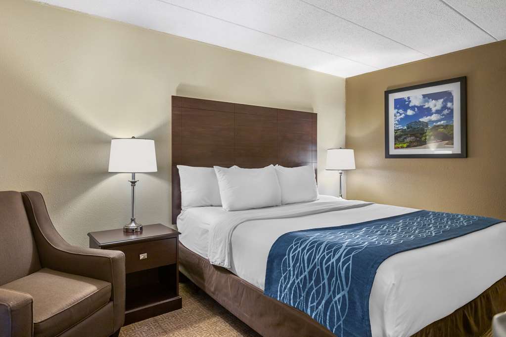 Comfort Inn Grand Rapids Airport - photo 15