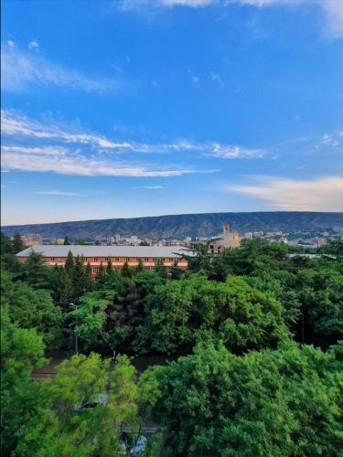 5 Rooms near 300 Aragveli metro station