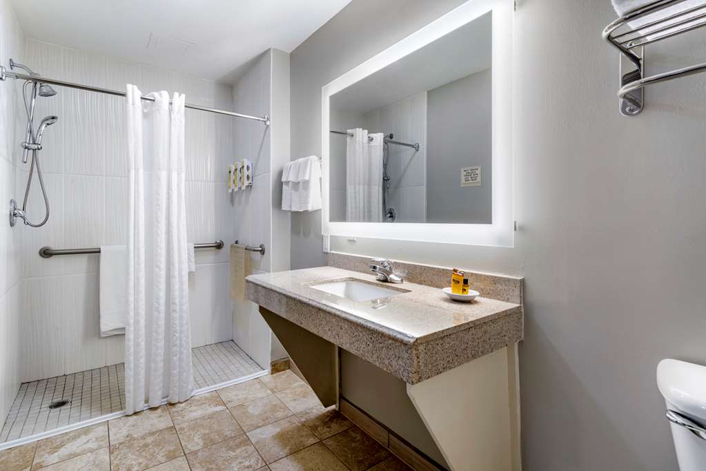 Best Western Plus Edinburg Inn & Suites - photo 40