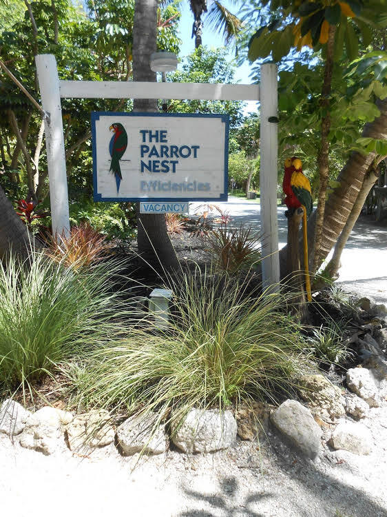 The Parrot Nest - photo 43