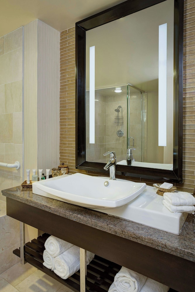 The Woodlands Waterway Marriott Hotel & Convention Center - photo 33