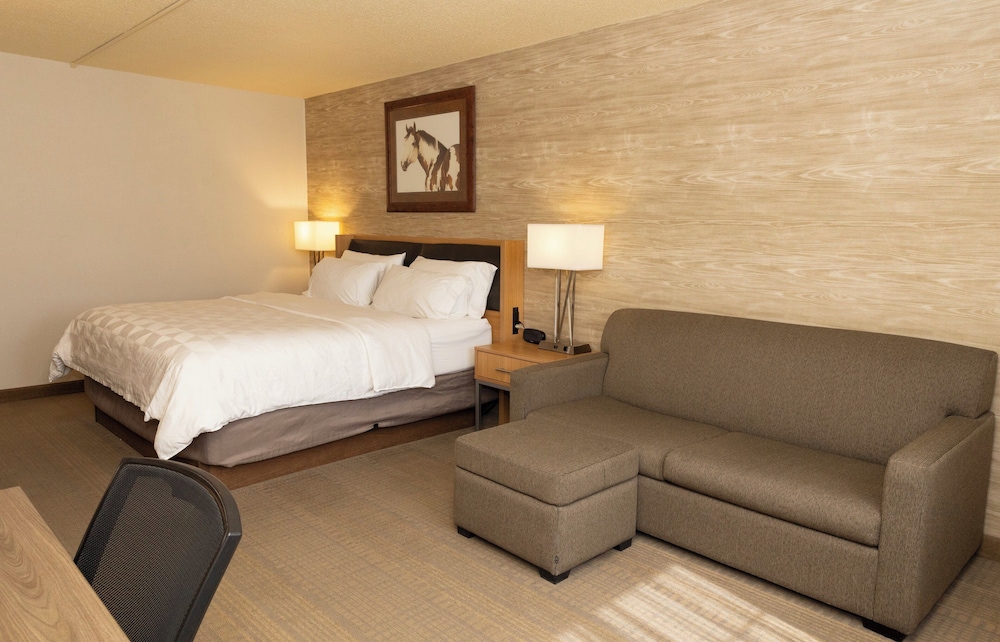 Holiday Inn Spearfish Convention Center by IHG - photo 15