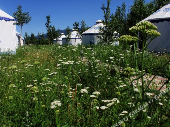 Nalati Muma Zhuangyuan Hotel in Xinyuan, People's Republic of China