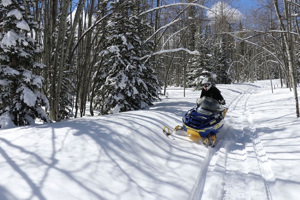 Arrowhead Mountain Lodge - photo 26