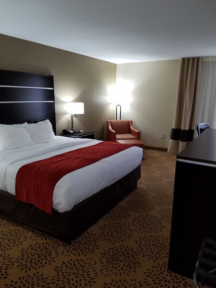 Comfort Inn North of Asheville - photo 14