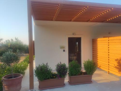 Eleonas Aparments 1 — Sitia — photo 3