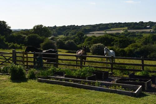 Moorland Breeze — Bodmin — photo 3