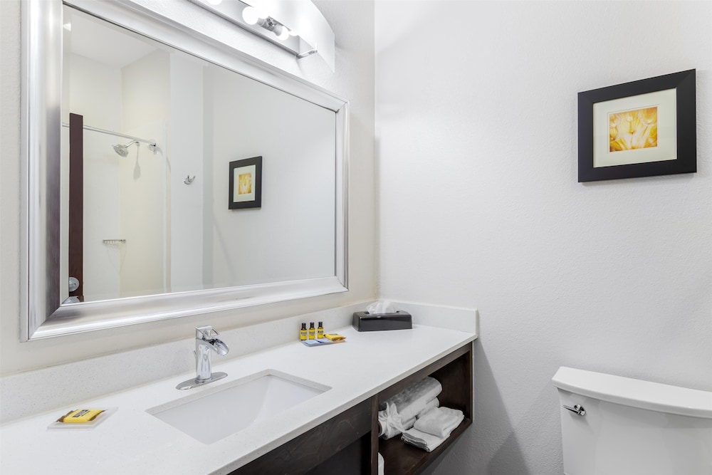 Best Western Plus Waller Hotel - photo 33
