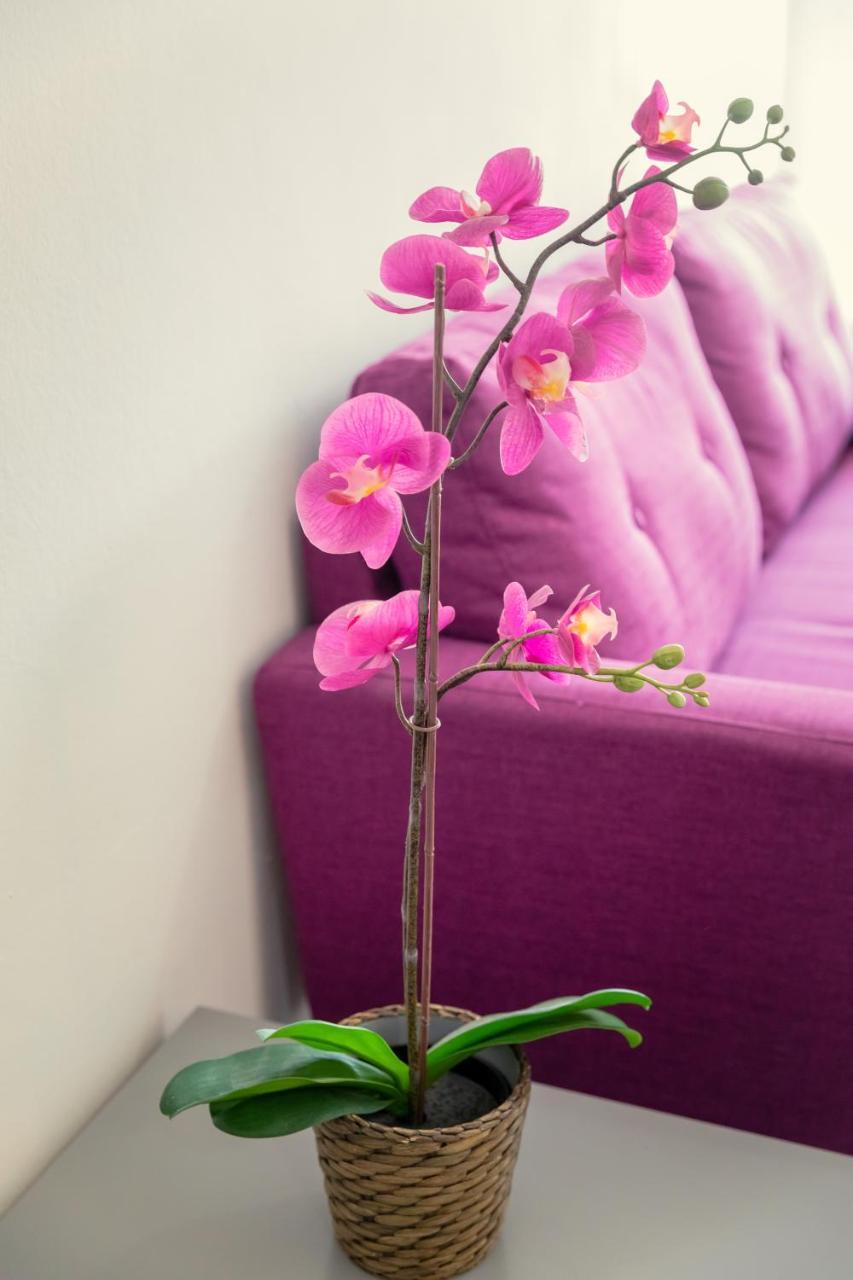 Lamanco Court City Centre Apartment