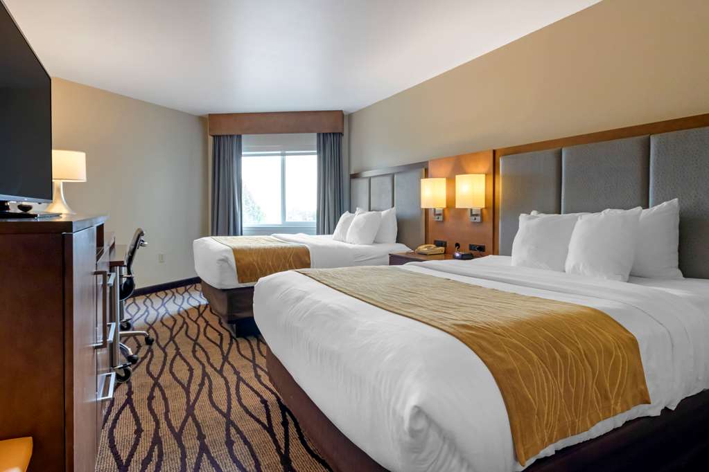 Comfort Inn & Suites Market Airport - photo 11
