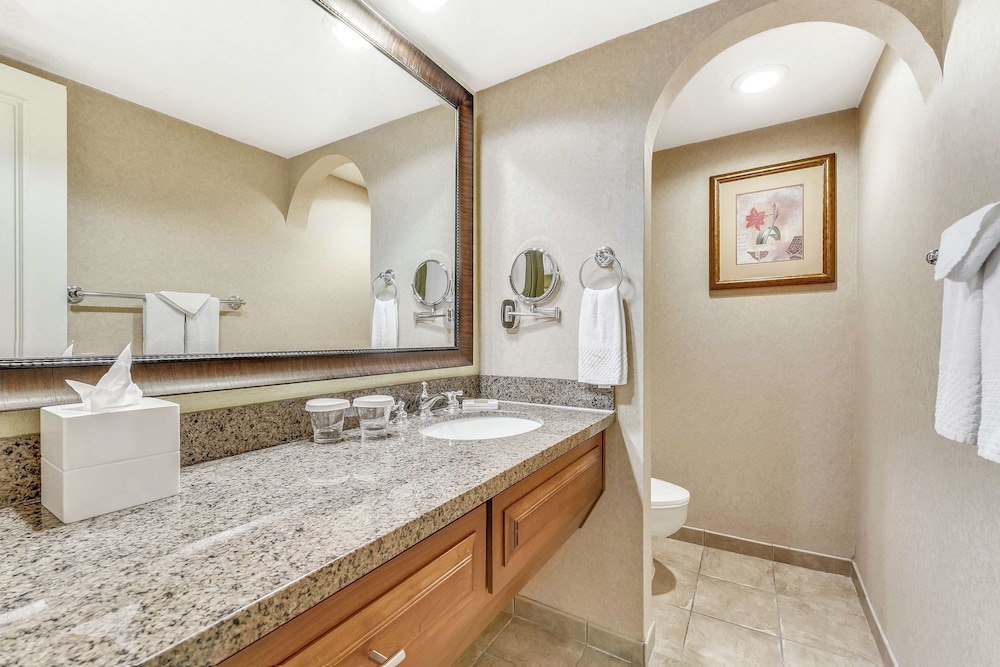 Hilton Phoenix Tapatio Cliffs Resort - photo 34