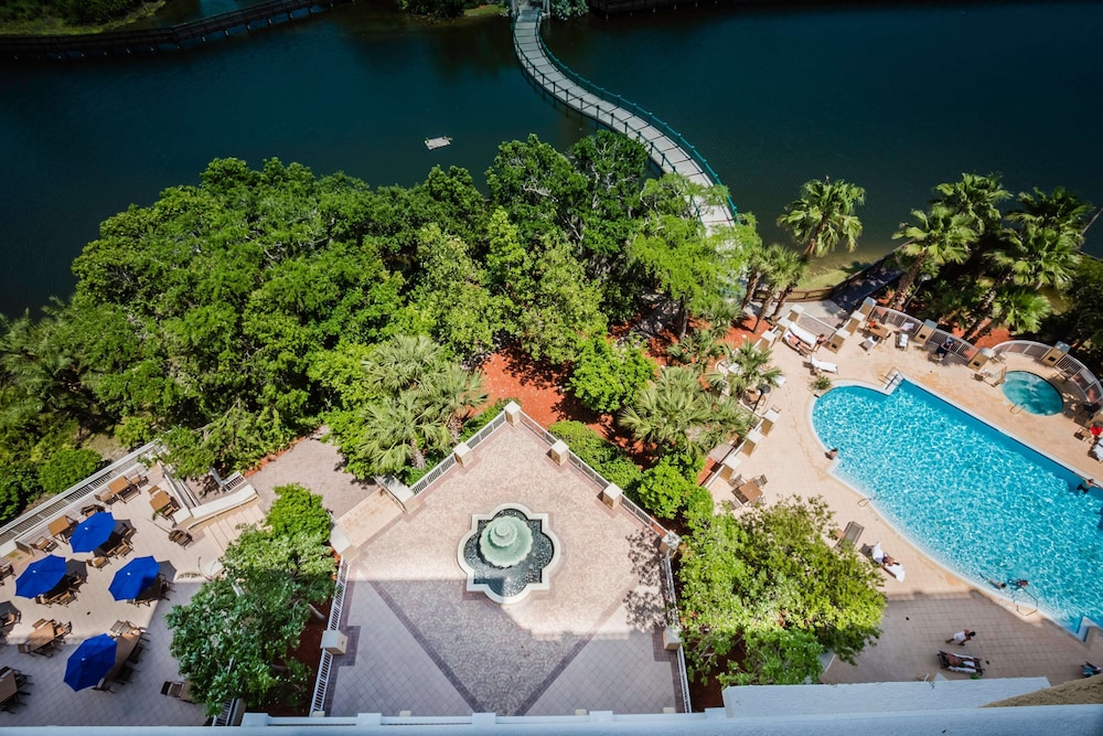 Hilton St. Petersburg Carillon Park - photo 31