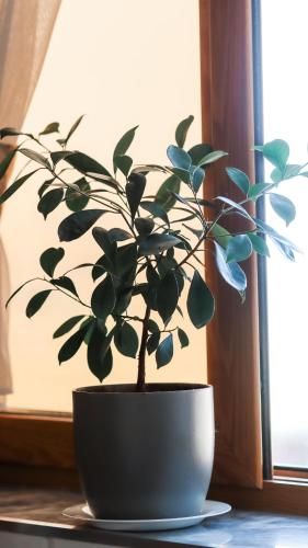 Green River Horizon in Sarande, Albania