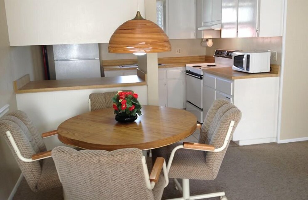 Palm Terrace - photo 17