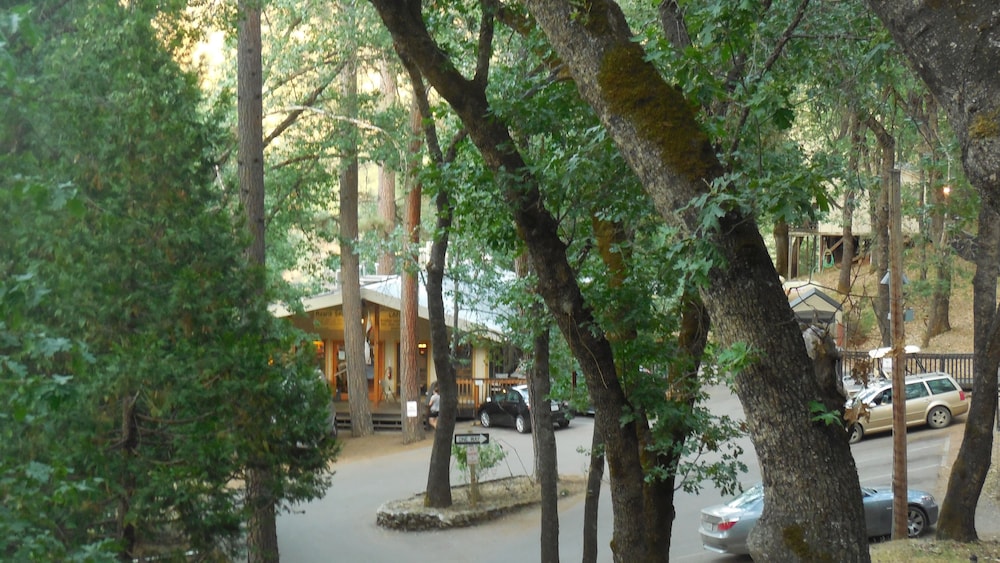 Yosemite Bug Rustic Mountain Resort - photo 122