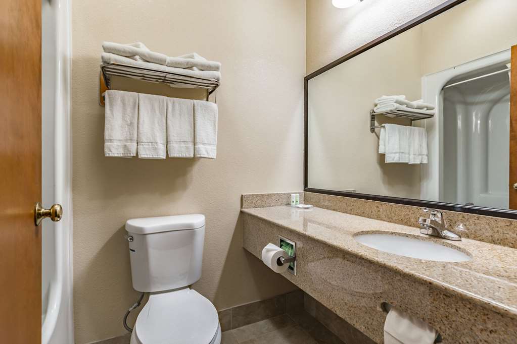 Quality Inn Schenectady Albany - photo 22