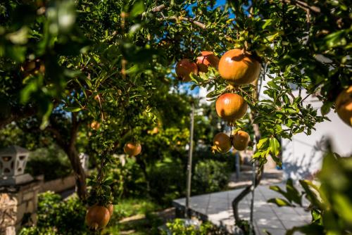 Avouris Studios - carbon neutral hotel in Kipseli