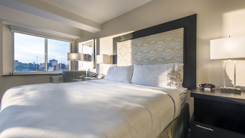 Holiday Inn Express & Suites Colorado Springs Central by IHG - photo 95
