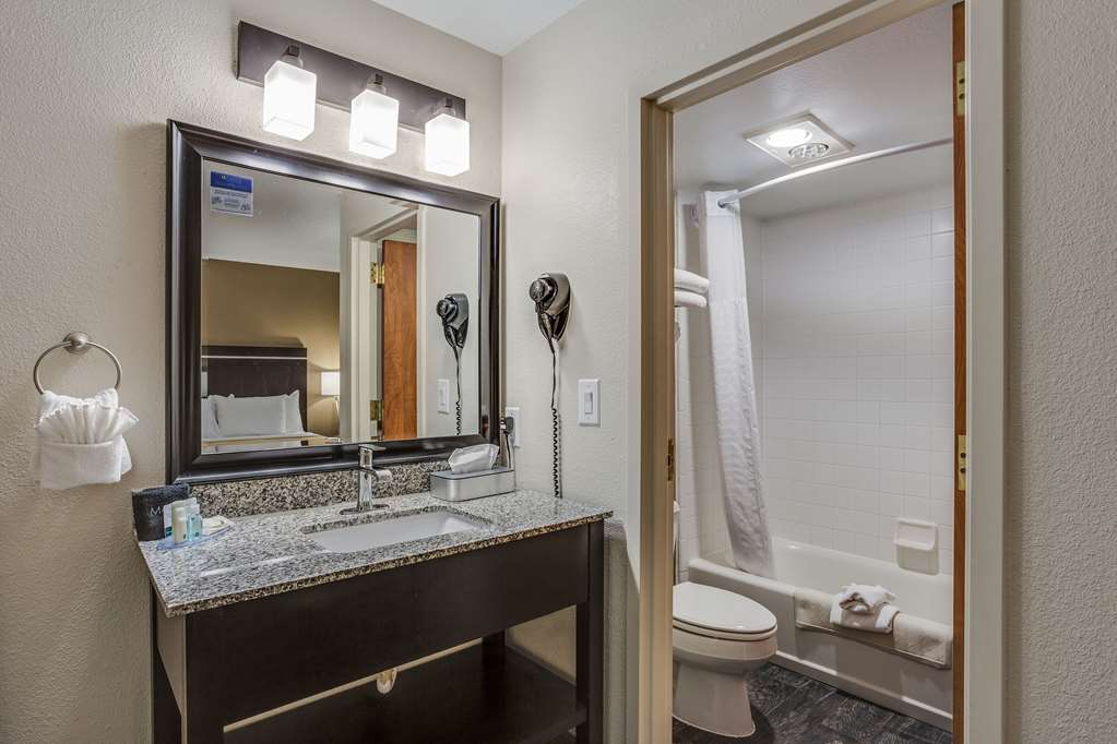 Quality Inn & Suites Meridian West Boise - photo 21