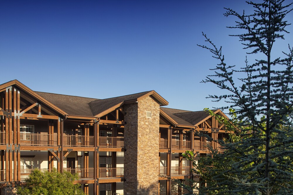Palace View Resorts by VectorStays - photo 24