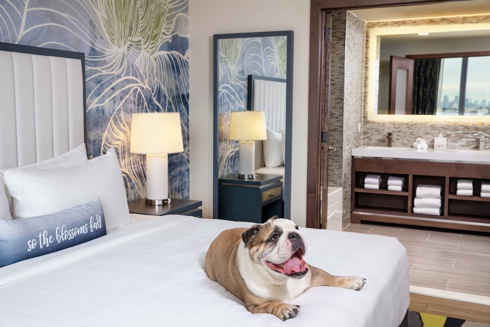 Hotel Indigo Flushing LaGuardia by IHG - photo 3