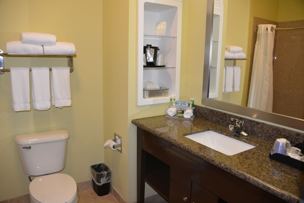 Holiday Inn Express Hotel & Suites Dumas by IHG - photo 25