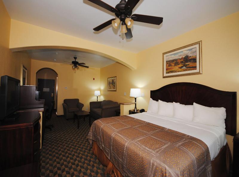 Best Western Plus Manvel Inn & Suites - photo 37