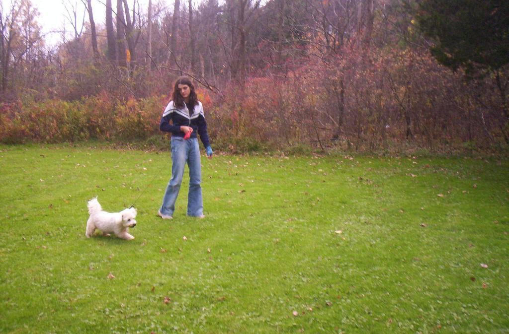 Acra Manor Resort - photo 7
