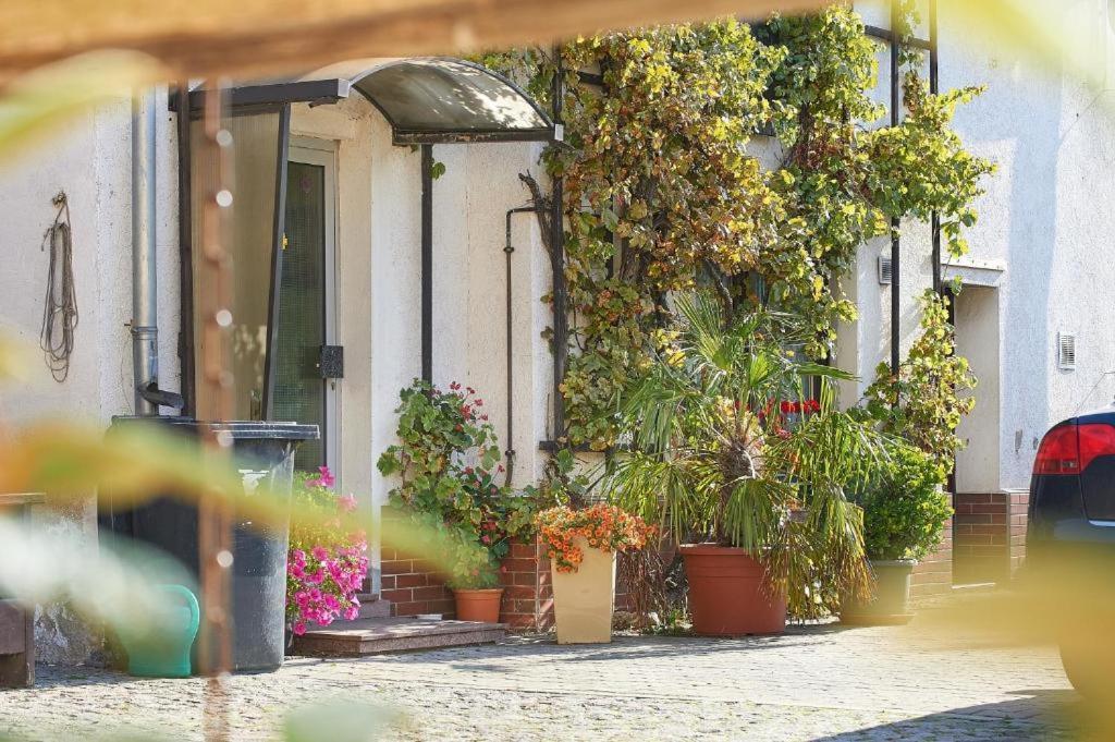 Schwalbenhof Wöllnau — 4-Star Luxury Hotel in Doberschutz, Germany