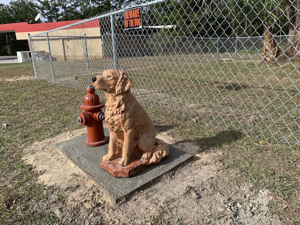 Motel 8 Lake City - photo 15
