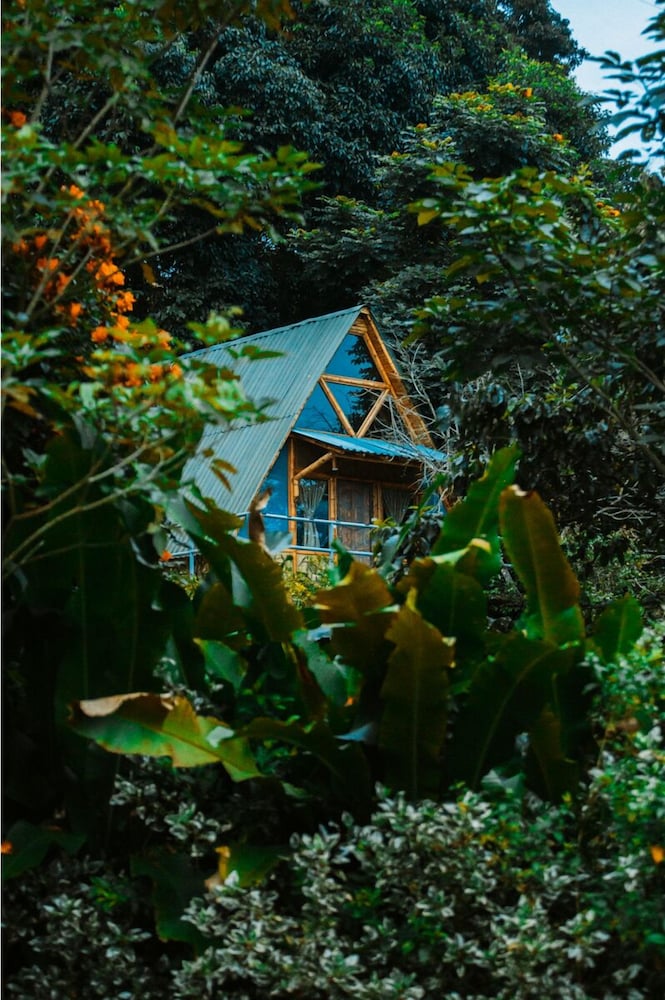 Boscaje Solarpunk Habitat — hotel in Tena