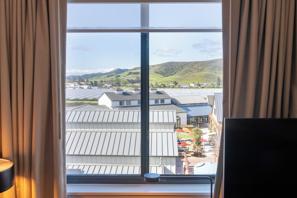SpringHill Suites by Marriott San Luis Obispo - photo 75