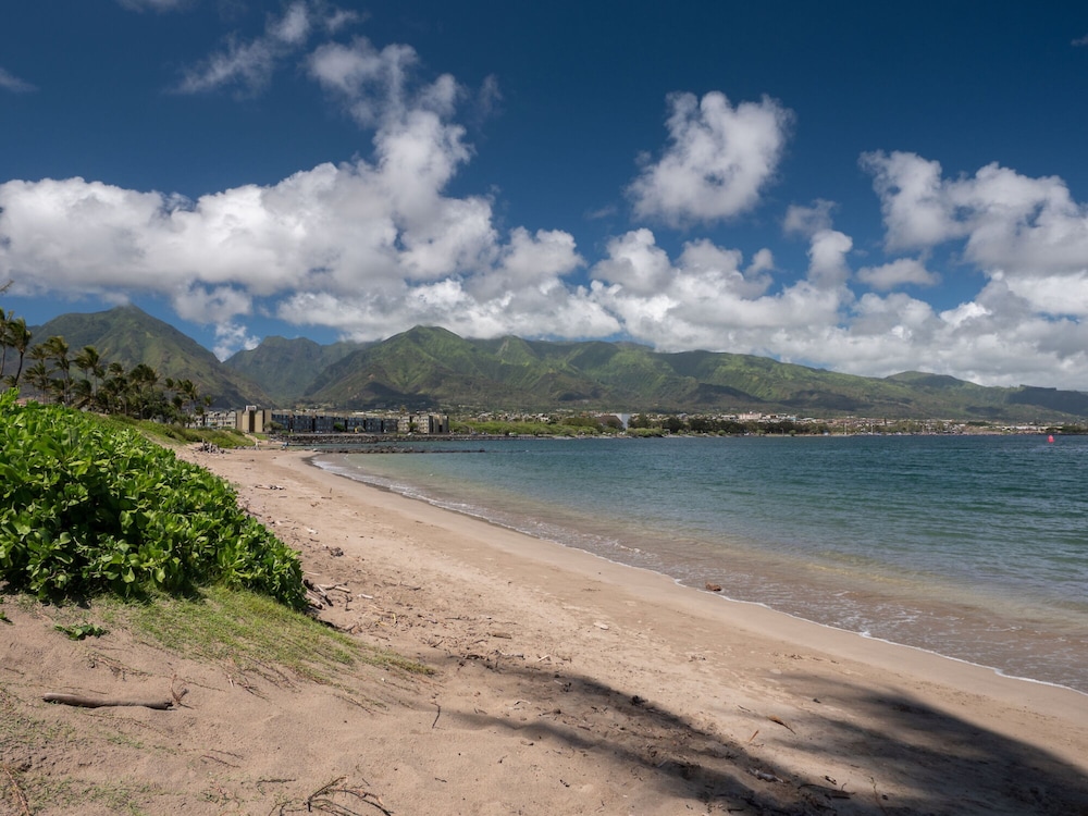 Maui Seaside Hotel - photo 50