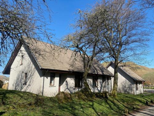 Puffin Kerrera in Oban, United Kingdom