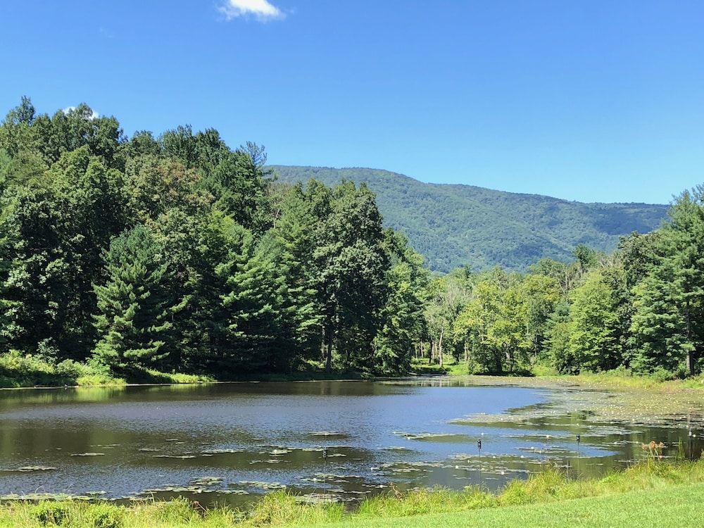 Montfair Resort Farm - photo 5