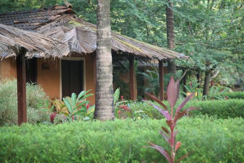 Nature's Nest — hotel in Sanguem