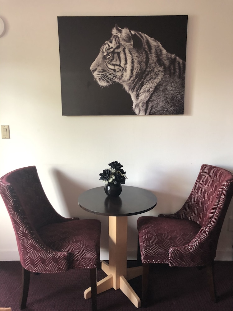 Dunes Motel - photo 14