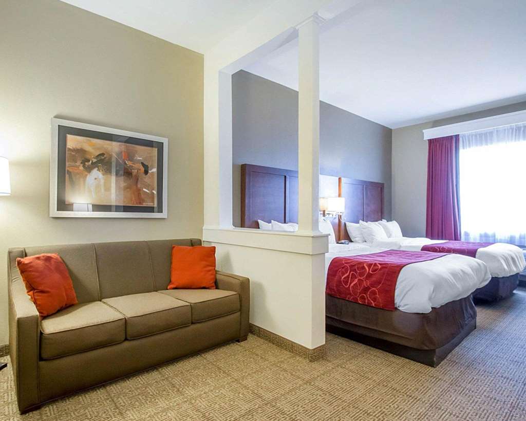 Comfort Suites Abilene Central - photo 9
