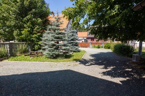 Kuća za odmor Birko — Mrkopalj — photo 4