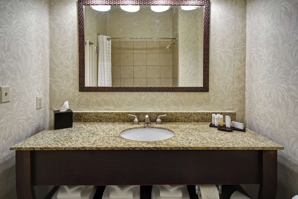 Embassy Suites by Hilton Charleston Historic District - photo 24