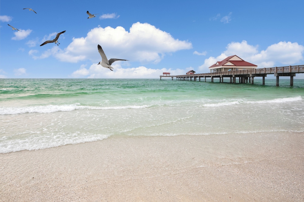 Residence Inn by Marriott Clearwater Beach - photo 56