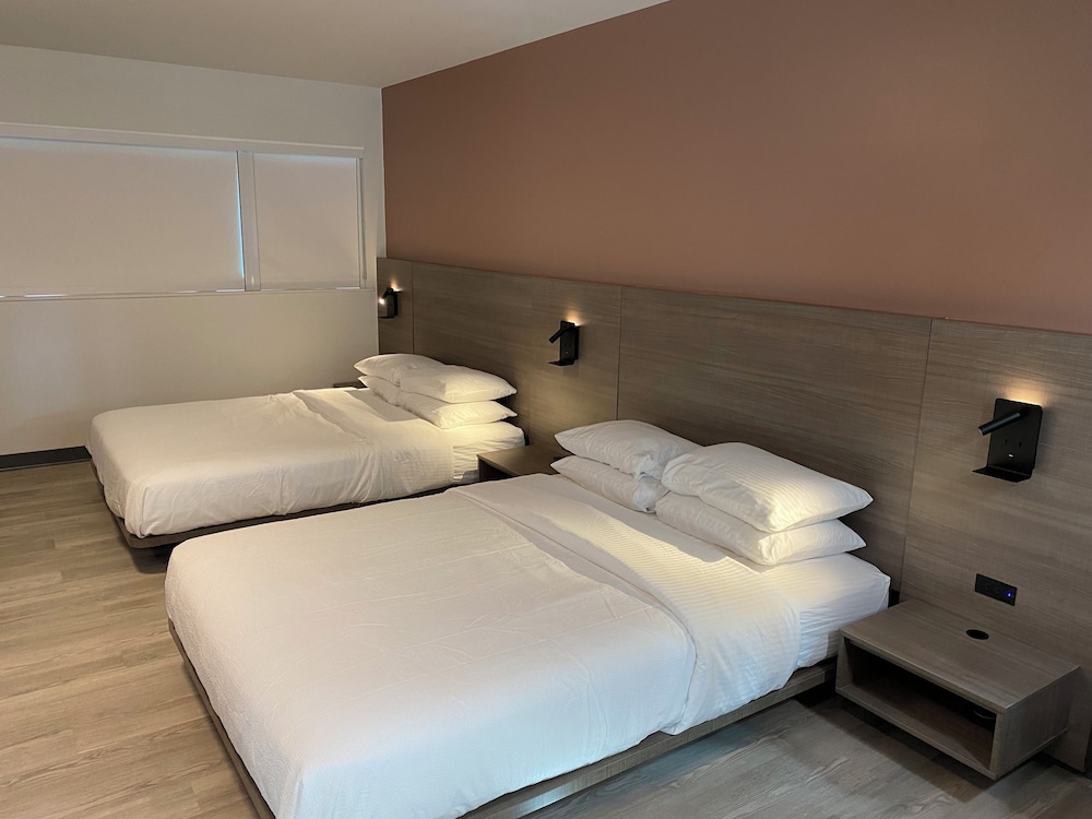 Rolo Beach Hotel - photo 59