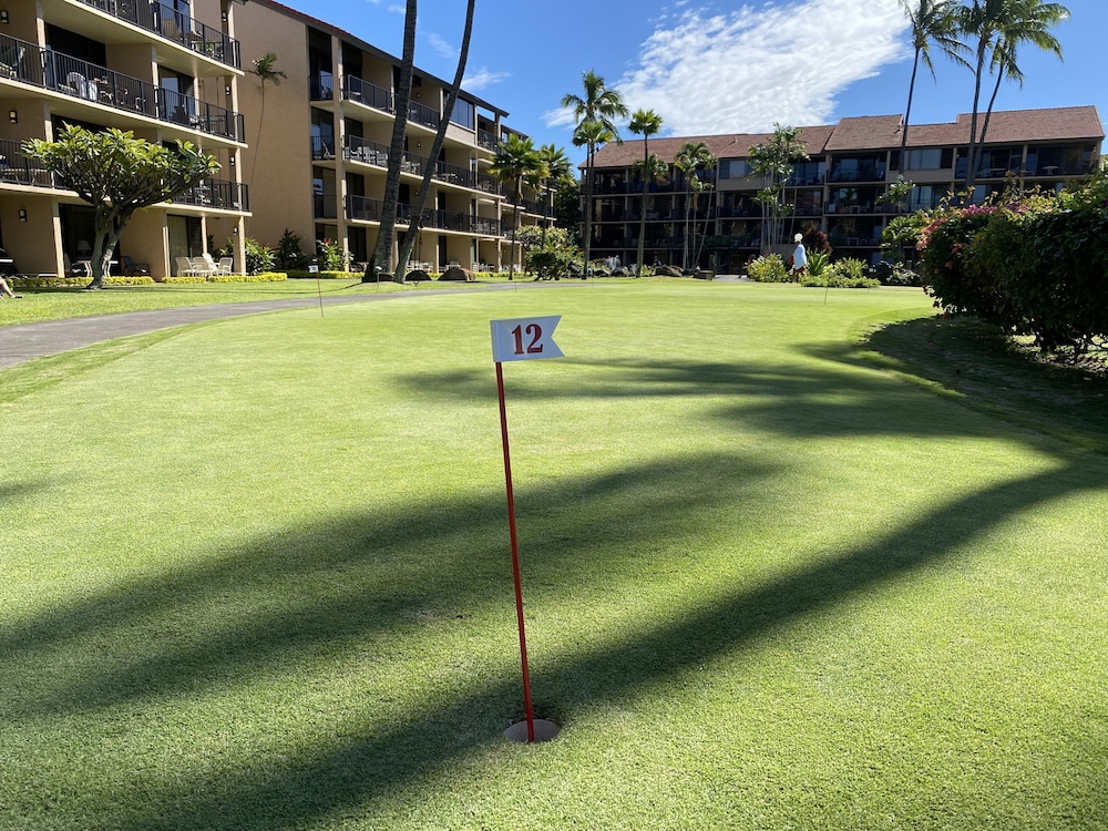 AEI at Papakea Resort Maui - photo 27
