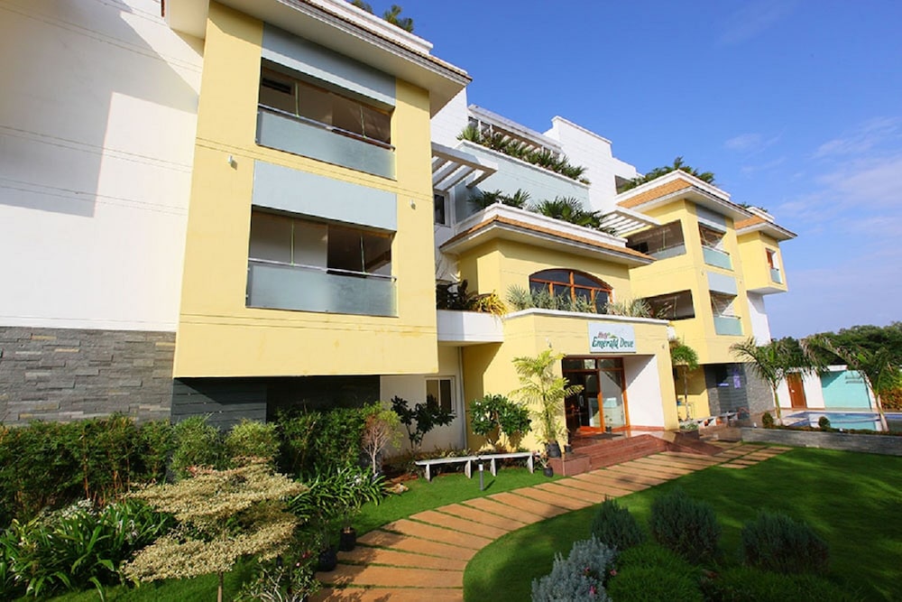 Emerald Dove in Madurai, India