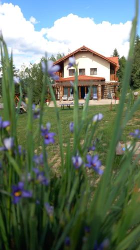 Poiana Brazilor in Borsa, Romania