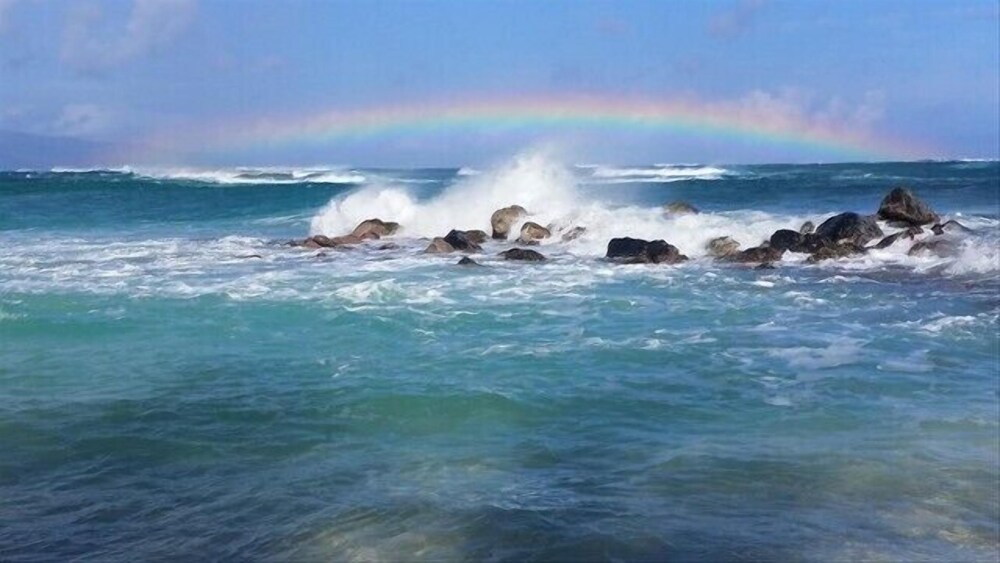 Kihei Akahi D402 - photo 29