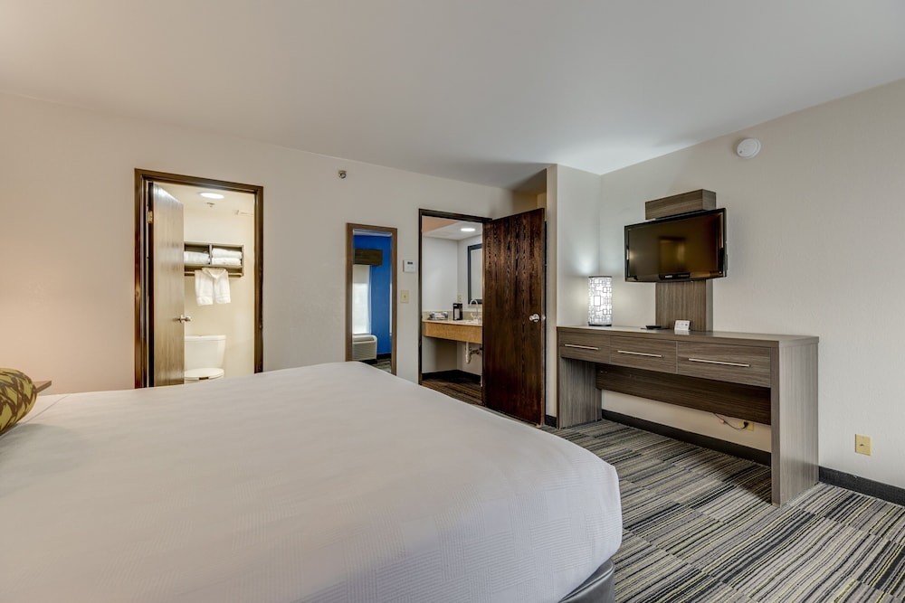 The Alexis Inn & Suites Nashville Airport - photo 29