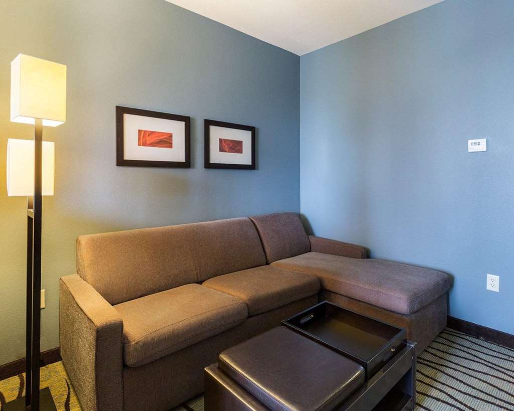 Comfort Suites near Westchase on Beltway 8 - photo 13
