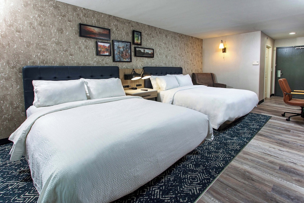 Four Points by Sheraton Appleton - photo 13